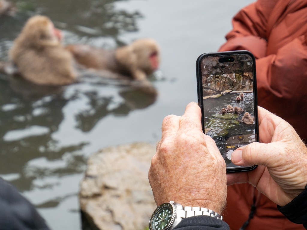 A Buncha Monkeys in the&nbsp;Snow