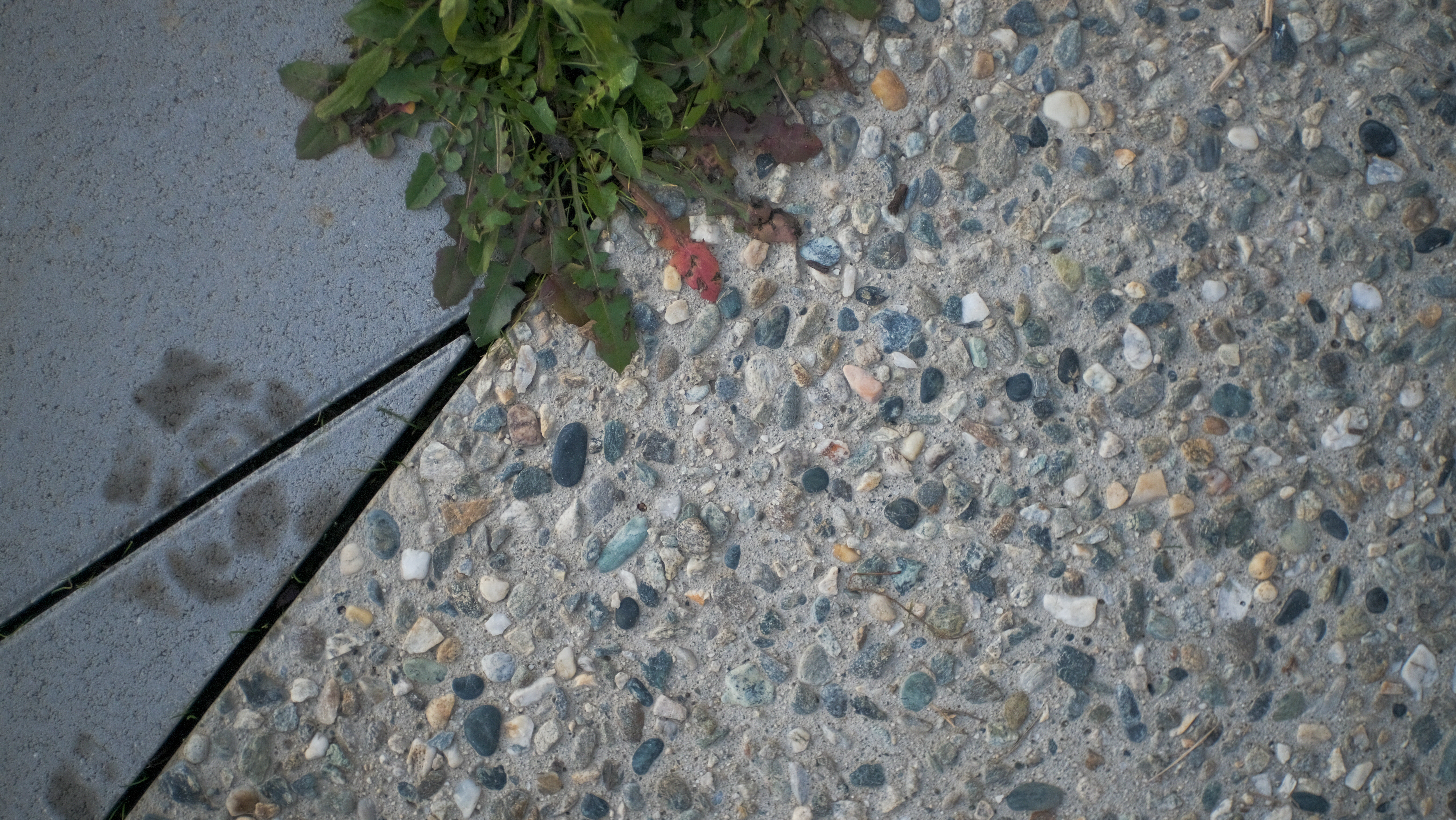 Concrete Steps to a Regenerative Future